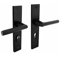 Intersteel Achterdeur veiligheidset zwart - recht