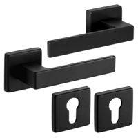 Eliot® Deurbeslag set - deurklinken met deurrozetten profielcilinder